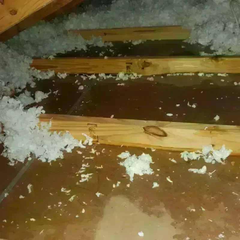 Attic Water Damage in Bonita, CA