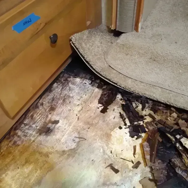 Wood Floor Water Damage in Bonita, CA